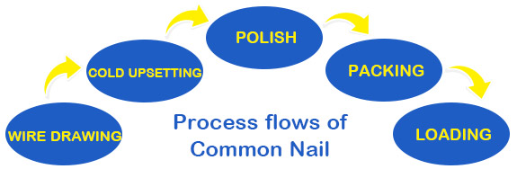 Common Nails